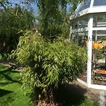 Fuenf Linden