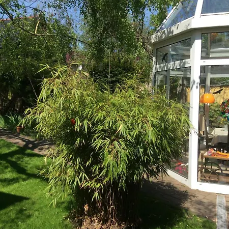 Fuenf Linden